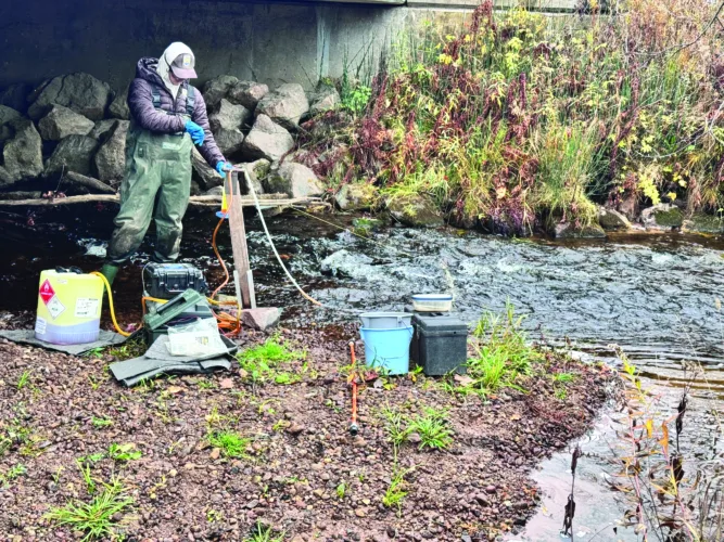 War against invasive